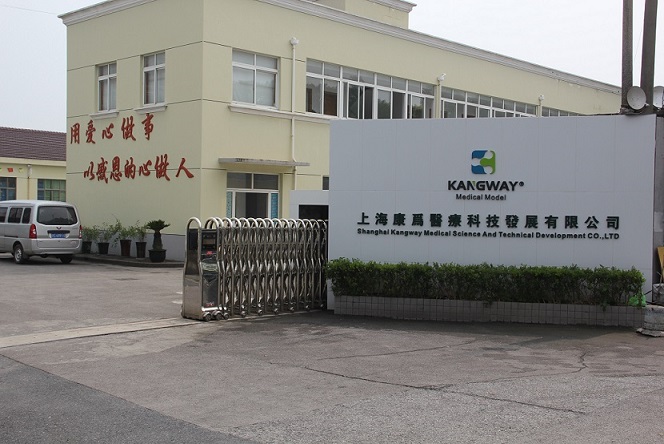 CQ9电子医疗